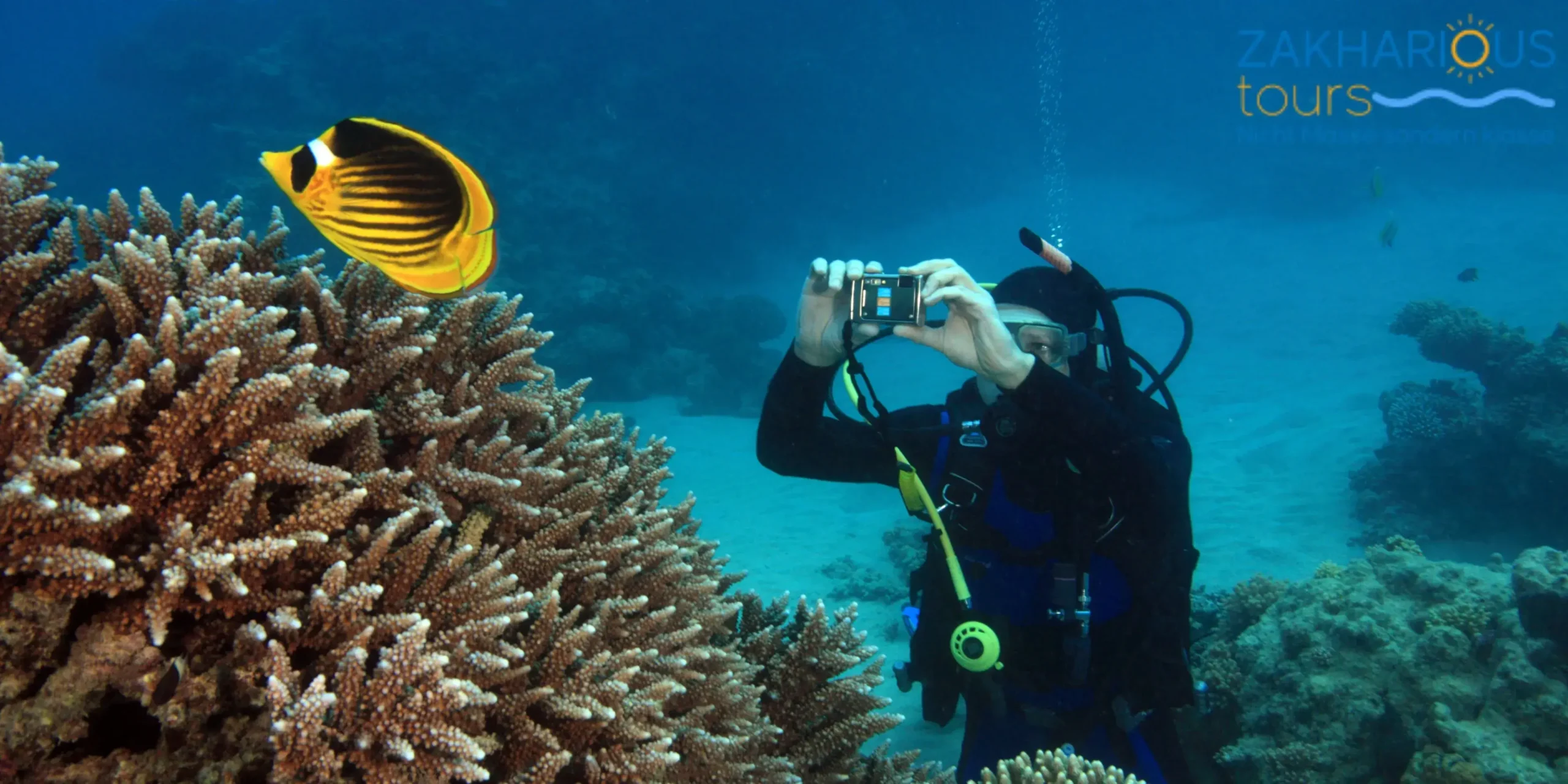 Your Adventure Begins Here