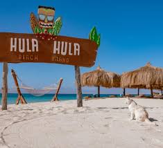 Privater Speedbootsausflug Hula Hula Island und Schnorcheln ab Makadi Bay
